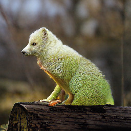 Refer to caption