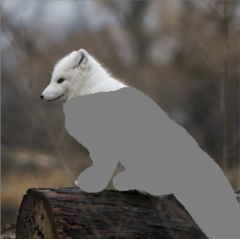 Refer to caption