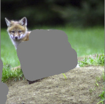 Refer to caption
