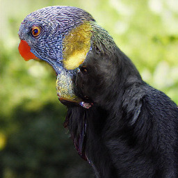Refer to caption