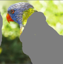 Refer to caption