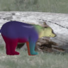 Refer to caption