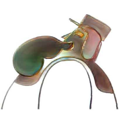 Refer to caption