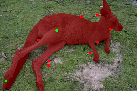 Refer to caption