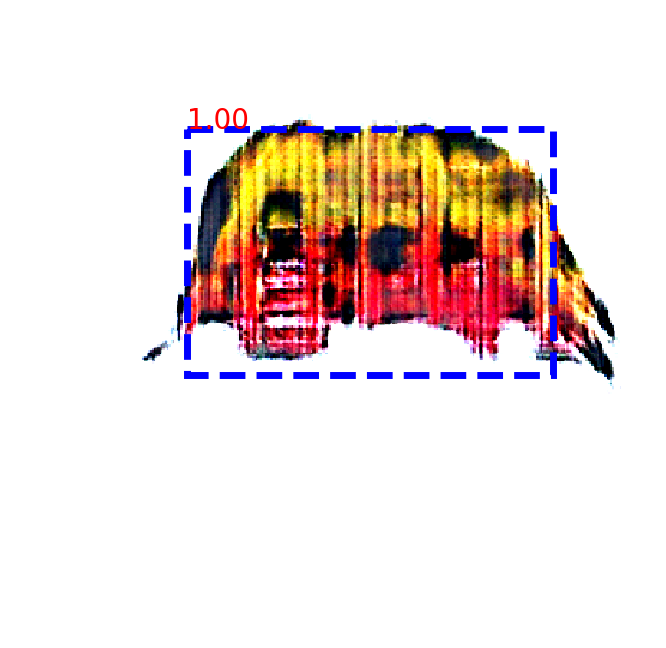 Refer to caption
