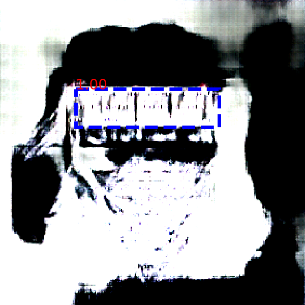 Refer to caption