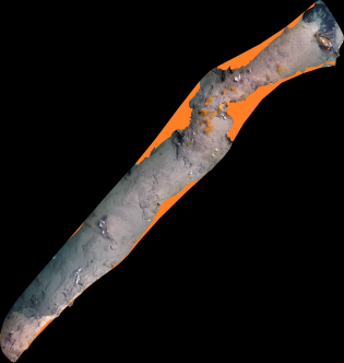 Refer to caption