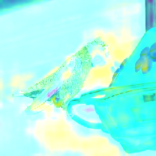 Refer to caption