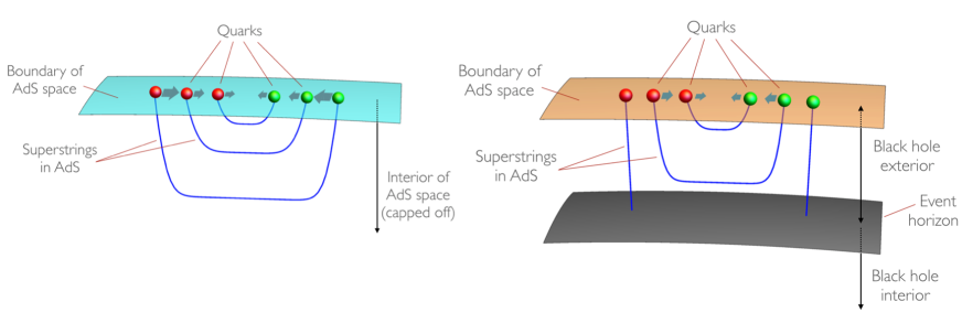 The confinement-deconfinement transition from the holographic point of view, focusing on quark-antiquark interactions. The quarks, constrained to move on the boundary of AdS, are connected by strings that fall into the interior of the dual space. In the absence of a horizon, the restitutive force that attracts the pair of quarks grows as the particles move apart and the string stretches. This low-temperature phase is illustrated in the left panel. In a high temperature phase, corresponding to the presence of a black hole in AdS, the strings can break up as shown in the right-hand panel. As a consequence, the quarks can then move freely, i.e., they cease to be confined.