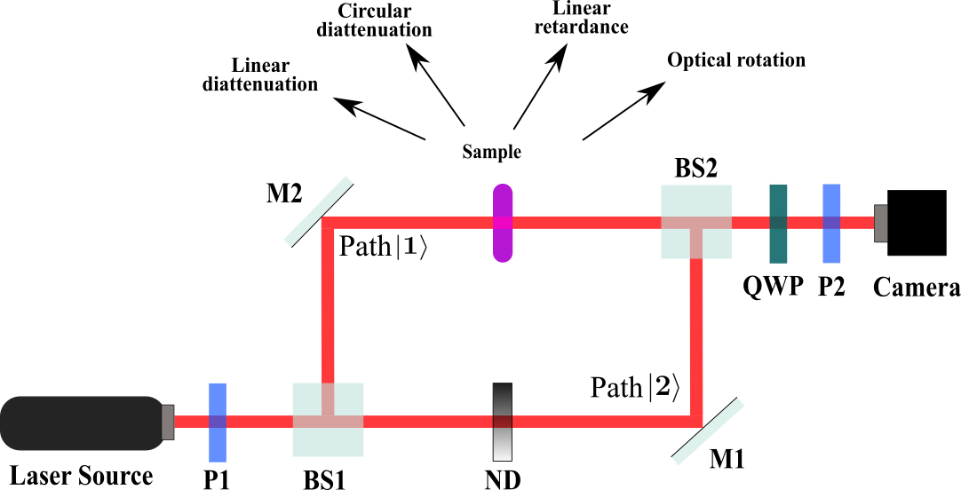 Refer to caption