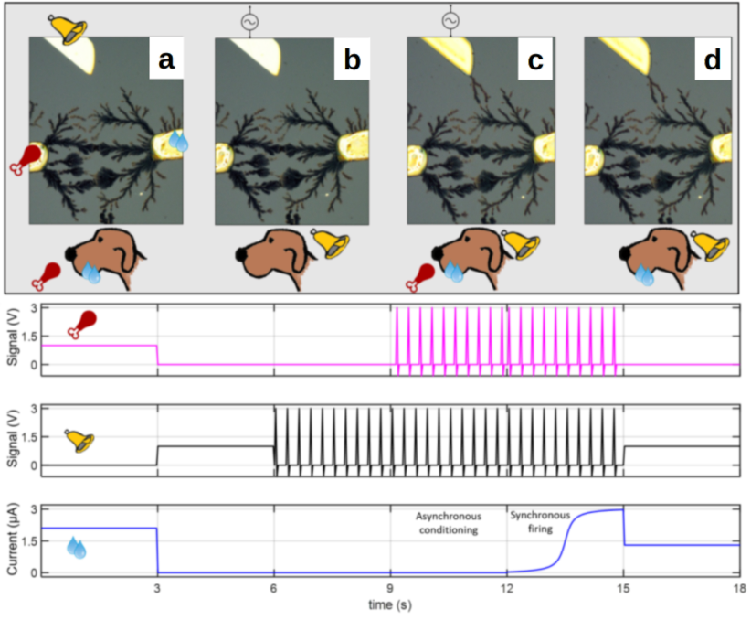 Refer to caption