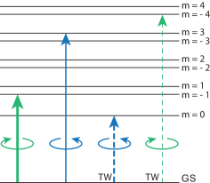 Refer to caption