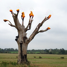 Refer to caption