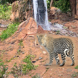 Refer to caption