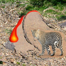 Refer to caption