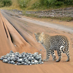 Refer to caption