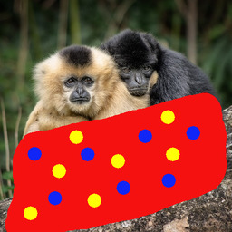 Refer to caption