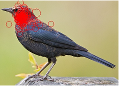 [Uncaptioned image]