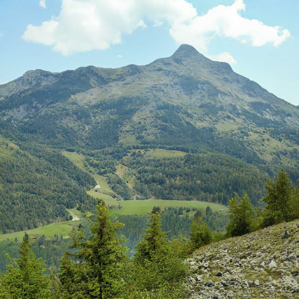 Refer to caption