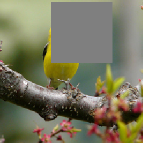 [Uncaptioned image]