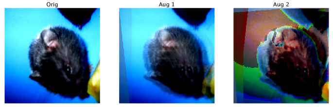 Refer to caption