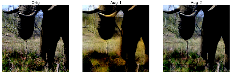 Refer to caption