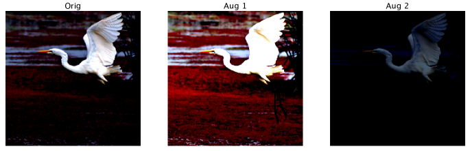 Refer to caption