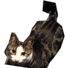 Refer to caption