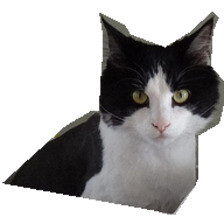 Refer to caption