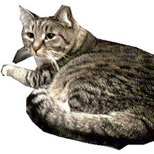 Refer to caption