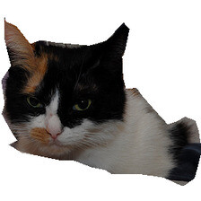 Refer to caption