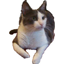 Refer to caption