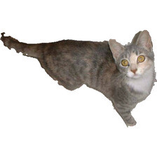 Refer to caption