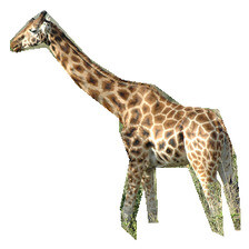 Refer to caption