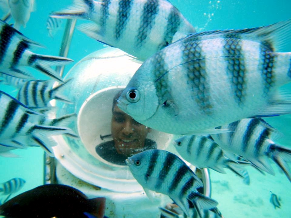 Refer to caption