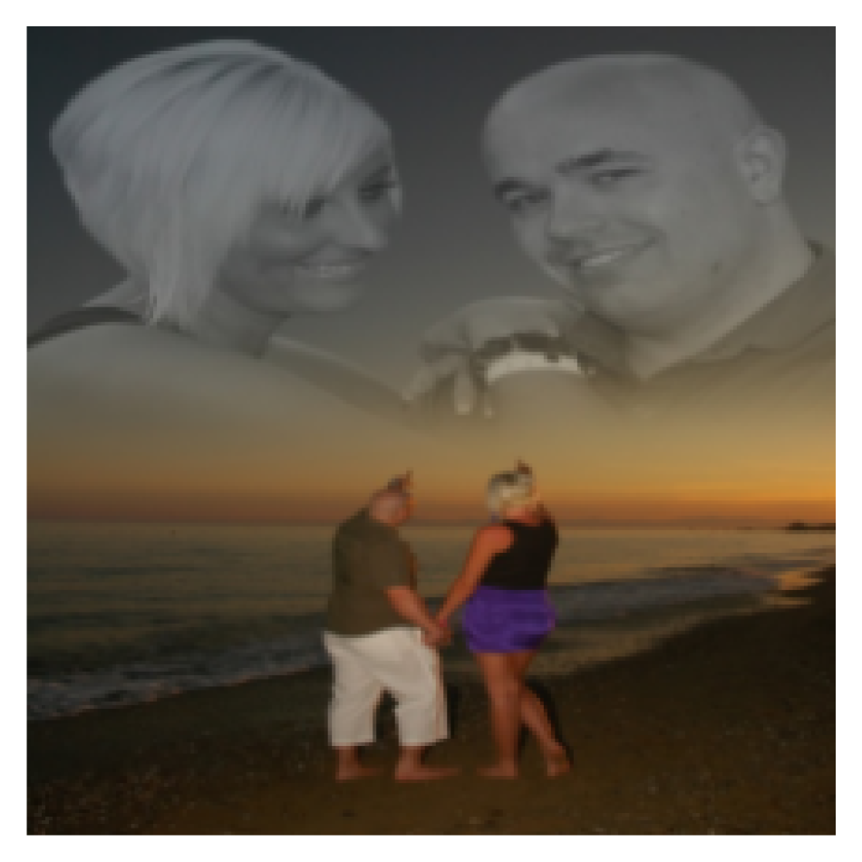 Refer to caption