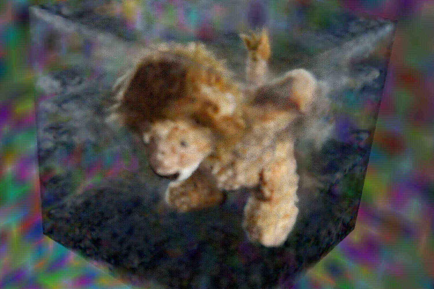 Refer to caption