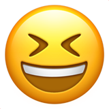 [Uncaptioned image]