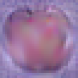 [Uncaptioned image]