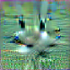 [Uncaptioned image]