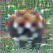 [Uncaptioned image]