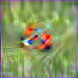 [Uncaptioned image]