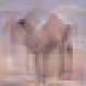 [Uncaptioned image]