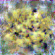[Uncaptioned image]