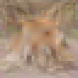 [Uncaptioned image]