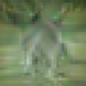 [Uncaptioned image]