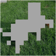 Refer to caption