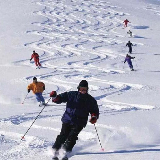 Refer to caption