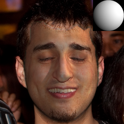 Refer to caption