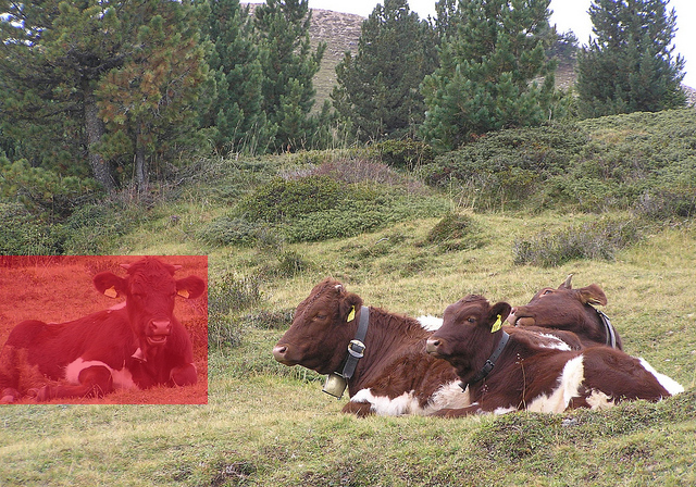 Refer to caption